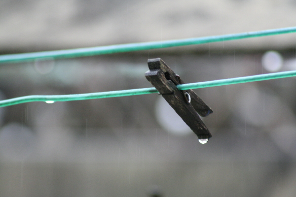 Clothes line and clothes pin in the rain.  Copyright Ann Carranza February 2008