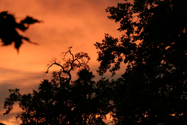 October evening sunset.  Copyright Ann Carranza October 2009