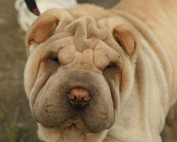 My favorite new face from today's excursion.